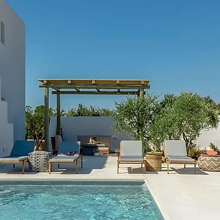 Sea & Olives And Naxos City